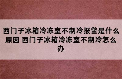 西门子冰箱冷冻室不制冷报警是什么原因 西门子冰箱冷冻室不制冷怎么办